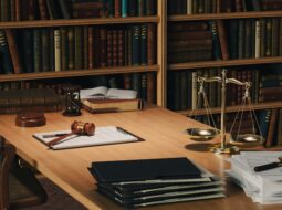 Lawyers
